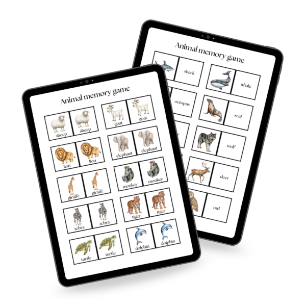 Zwierzęta - Animal Memory - gra edukacyjna do nauki języka angielskiego