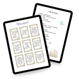 Wiosna - Spring Riddles - zagadki edukacyjne do nauki języka angielskiego